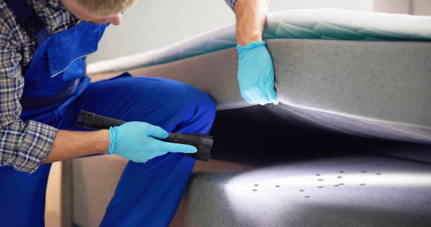 Best Flea Control Services  in Highland Park, MI