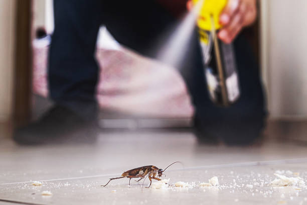 Best Residential Pest Control  in Highland Park, MI