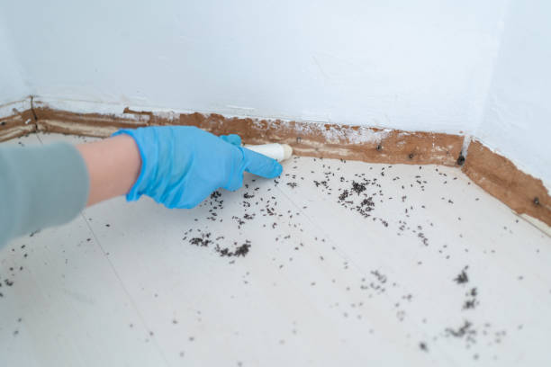 Highland Park, MI Pest Control Company