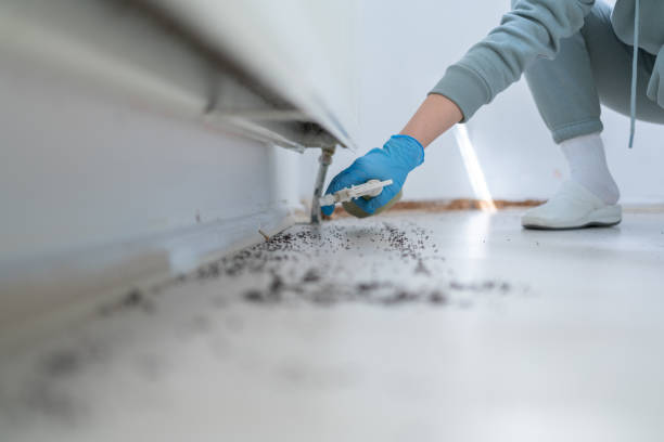 Best Wasp Removal Services  in Highland Park, MI